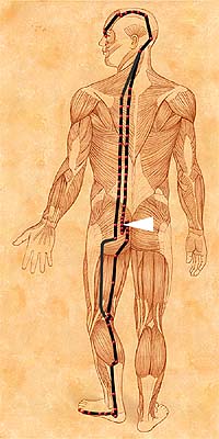 BL28 . Pang Guang Shu